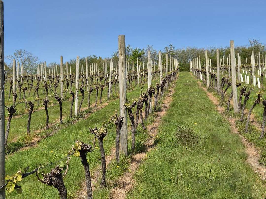 Huxbear Vineyard-Hennock必去景点