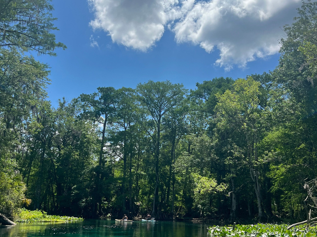 Silver Springs Kayaking LLC-Silver Springs必去景点