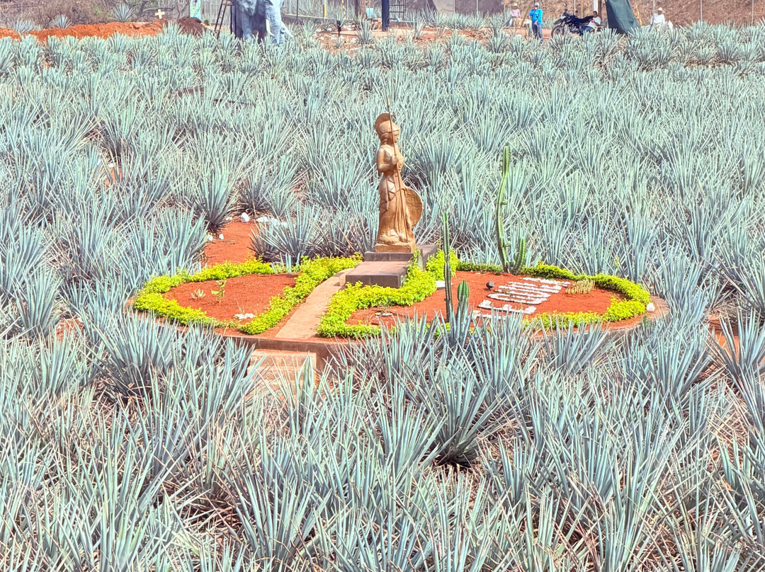 Jalisco Aventurero Tours-瓜达拉哈拉必去景点