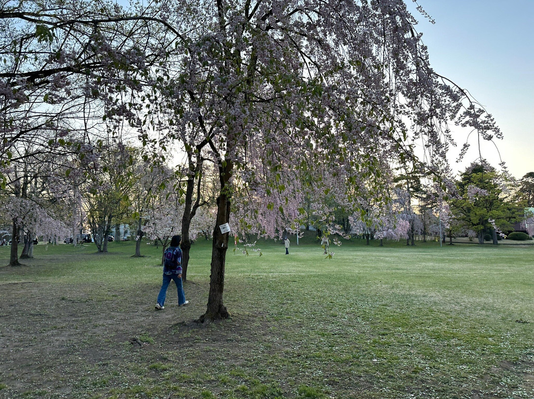 Hirosaki Cherry Blossom Festival-弘前市必去景点
