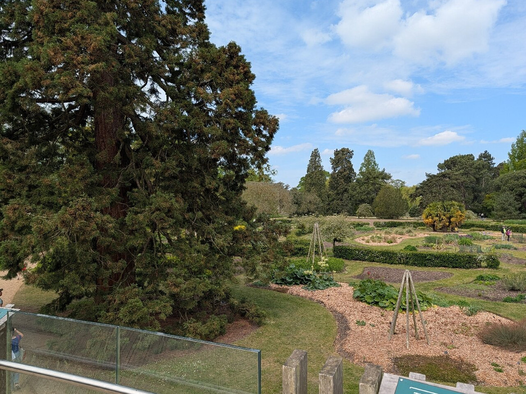 剑桥大学植物园-剑桥必去景点