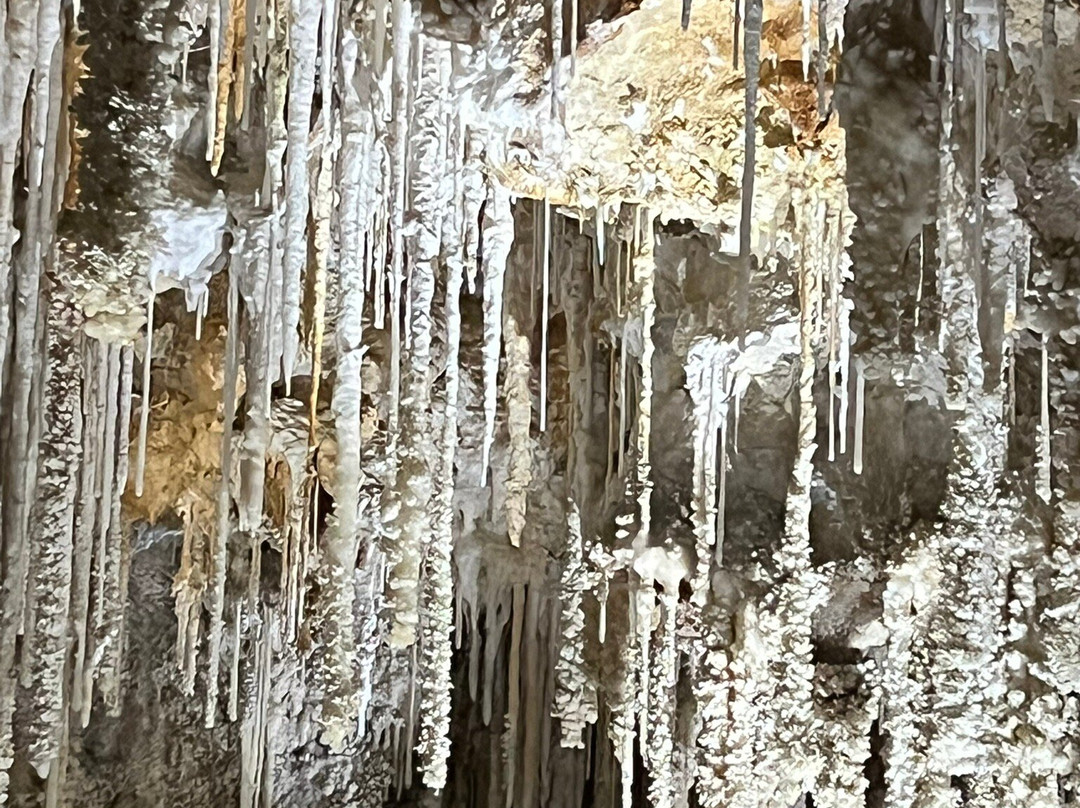 Grotte de Clamouse-Saint-Jean-de-Fos必去景点