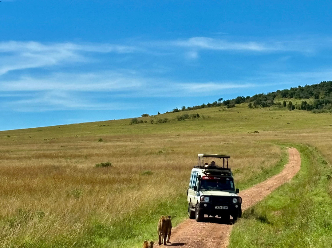 Tazama Africa Holidays-内罗毕必去景点