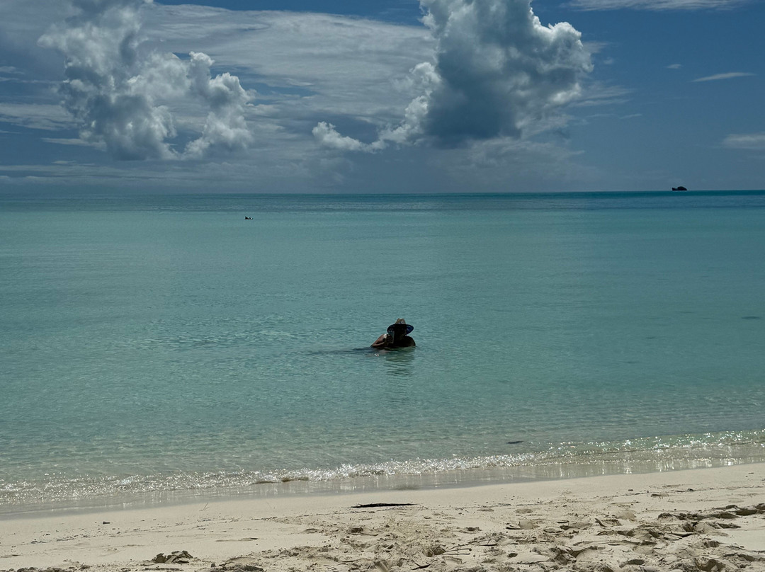 Taylor Bay Beach-普罗维登西亚莱斯必去景点