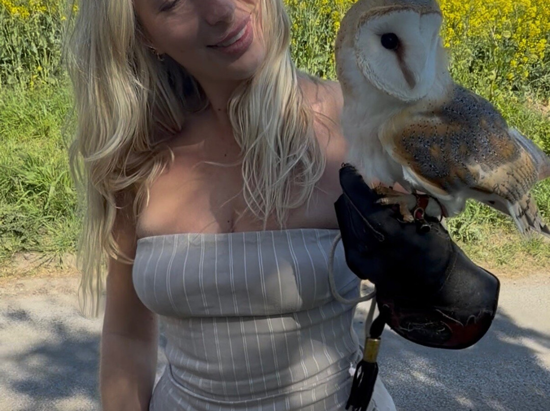 Happisburgh Owls-North Walsham必去景点