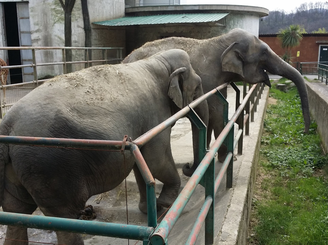 Giardino Zoologico Di Pistoia-皮斯托亚必去景点