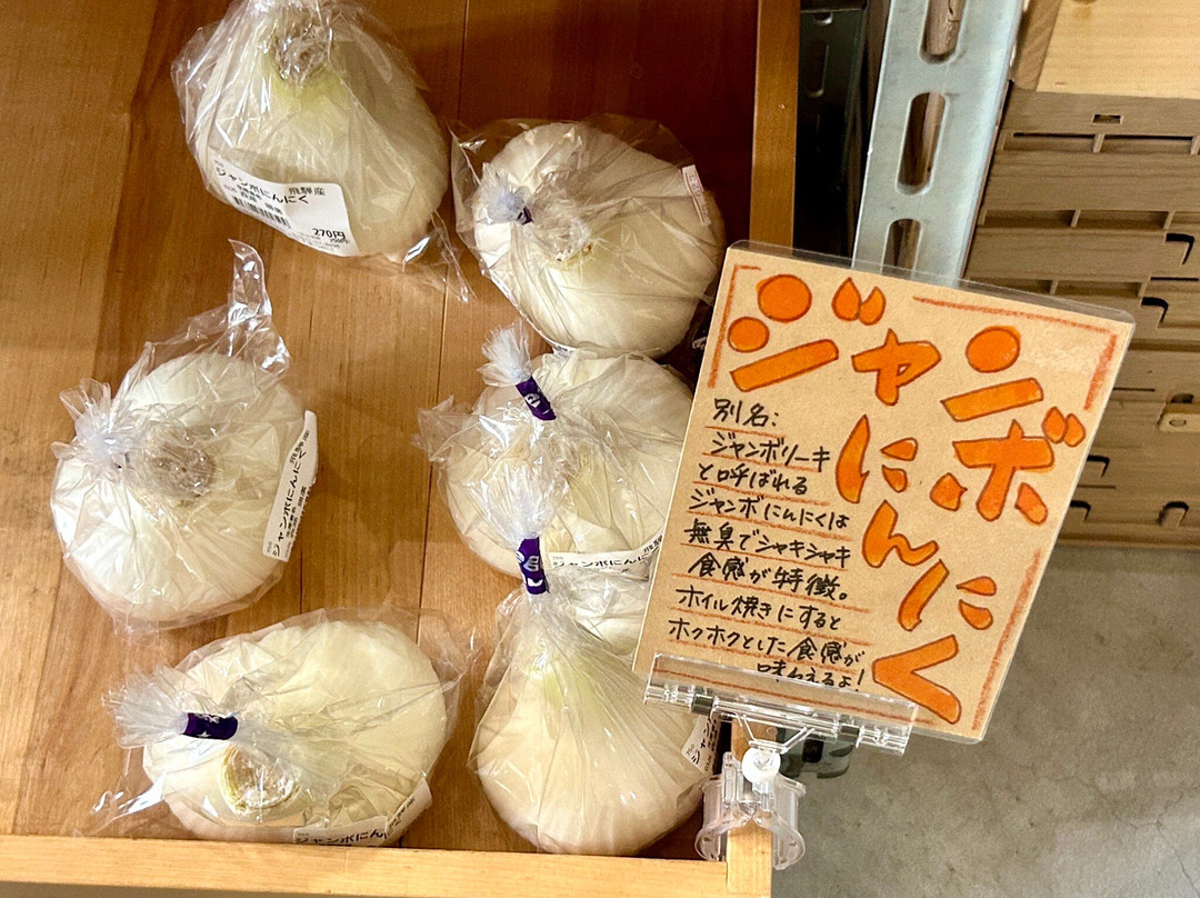 Michi-no-Eki - Hida Furukawa Alpes-飞弹市必去景点