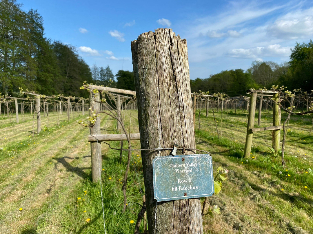 Chiltern Valley Winery & Brewery-泰晤士河畔亨利必去景点