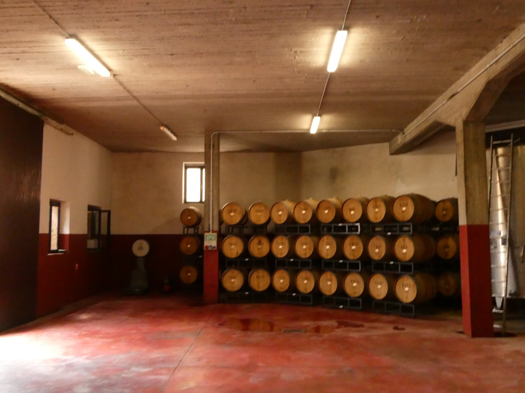 Corte Borghetti-Marano di Valpolicella必去景点