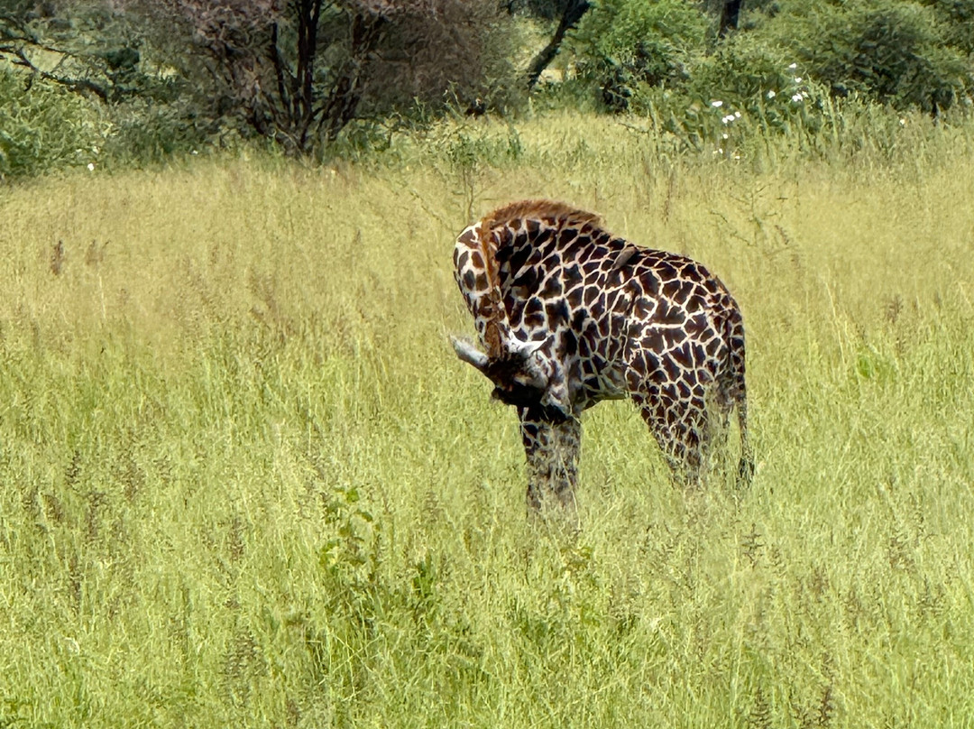 Africa Campsbay Tours-阿鲁沙必去景点