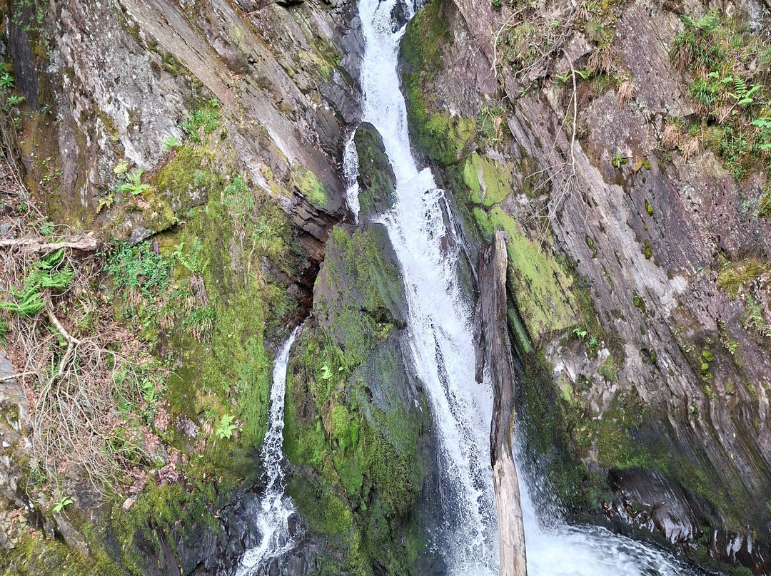 Devil's Bridge Waterfalls-Devil's Bridge (Pontarfynach)必去景点