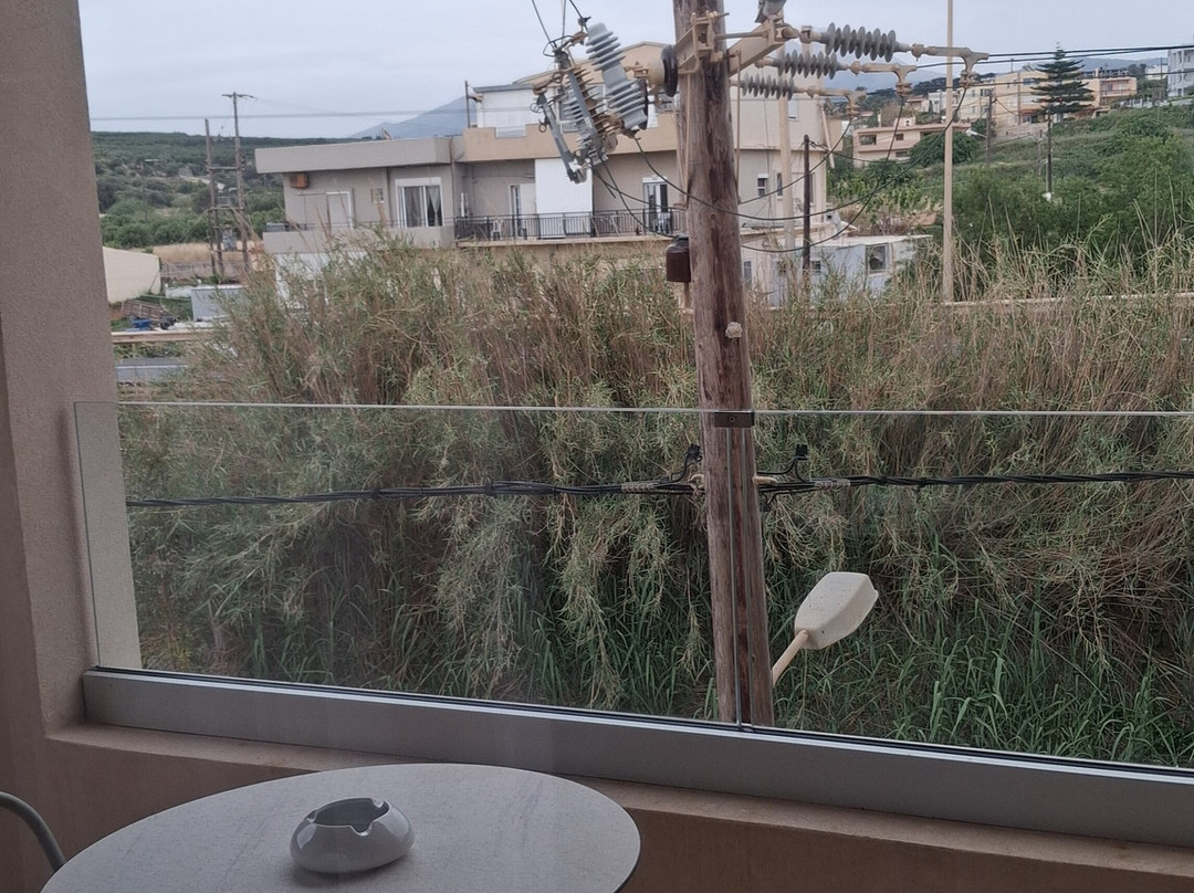 白橄榄精英雷西姆诺 - 全包主图