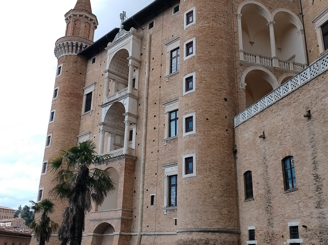 Palazzo Ducale di Urbino-乌尔比诺必去景点