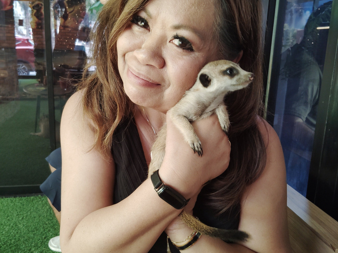 清迈阿基拉马诺尔酒店主图