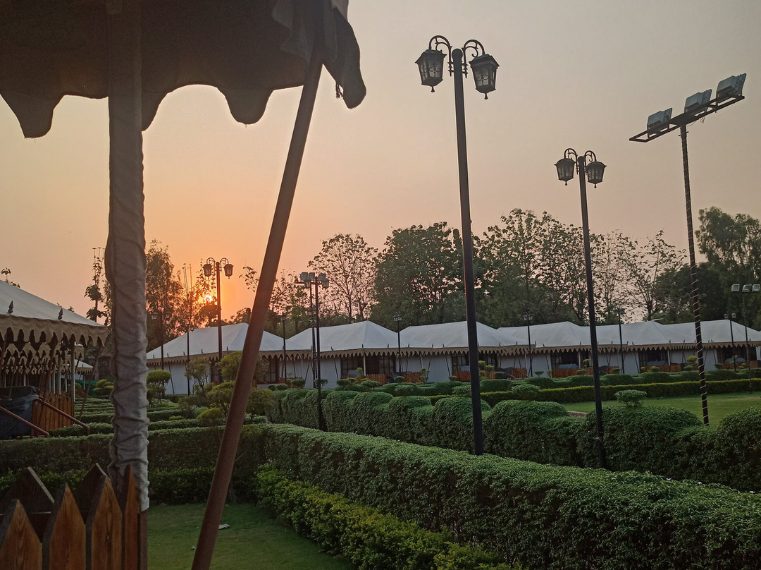 菠罗奈斯的Om Vilas Benares主图