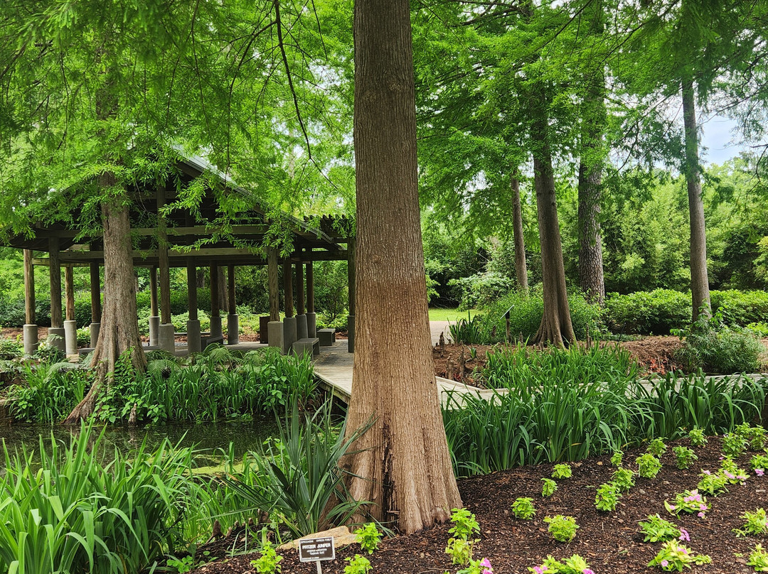Mercer Botanic Gardens-汉布尔必去景点