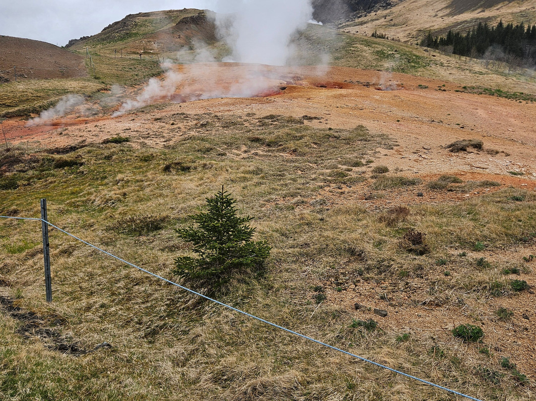 Eldhestar Volcano Horses-Olfus必去景点