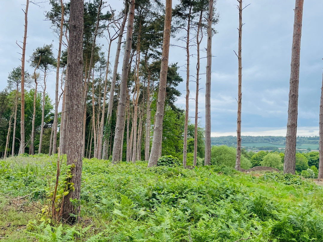 Westerham Golf Club-Westerham必去景点