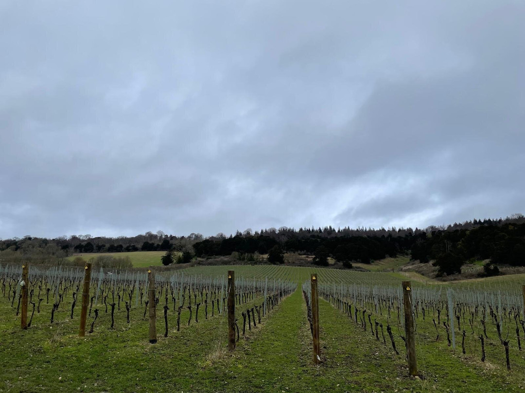 Albury Organic Vineyard-Albury必去景点