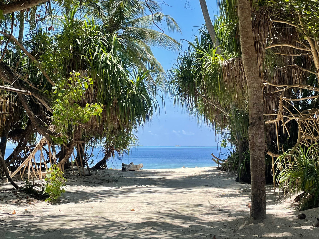 Local Travel Beach主图