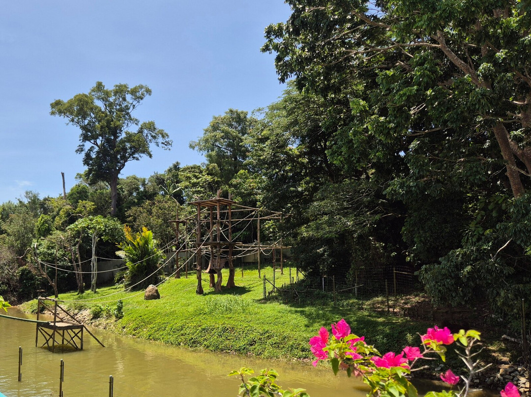 Orang Utan Island-新芒魏必去景点