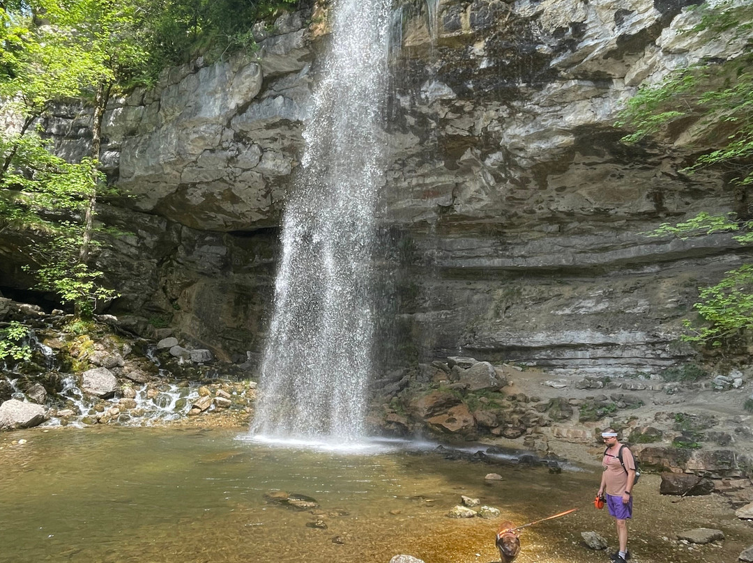 Les Cascades du Herisson-Menetrux-en-Joux必去景点