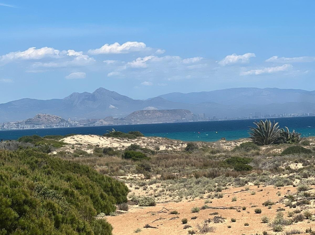 Platja Del Carabassí-埃尔切必去景点