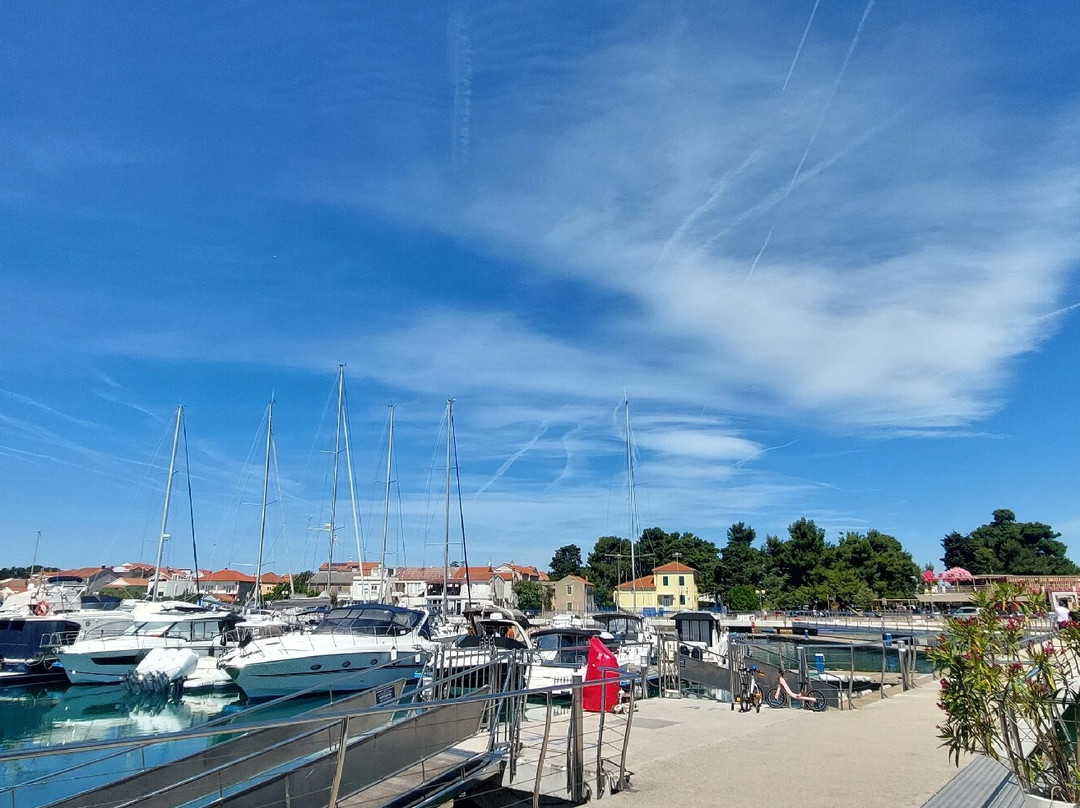 Yachting Bar and Cafe-扎达尔必去景点