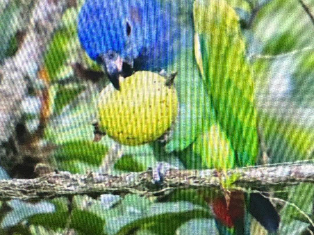 Nature Walk La Selva-Pueblo Tapao必去景点