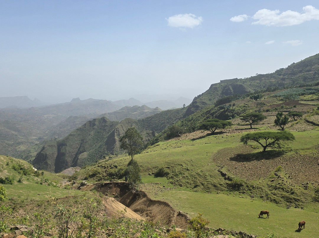 Liyu Ethiopia Tours-亚的斯亚贝巴必去景点