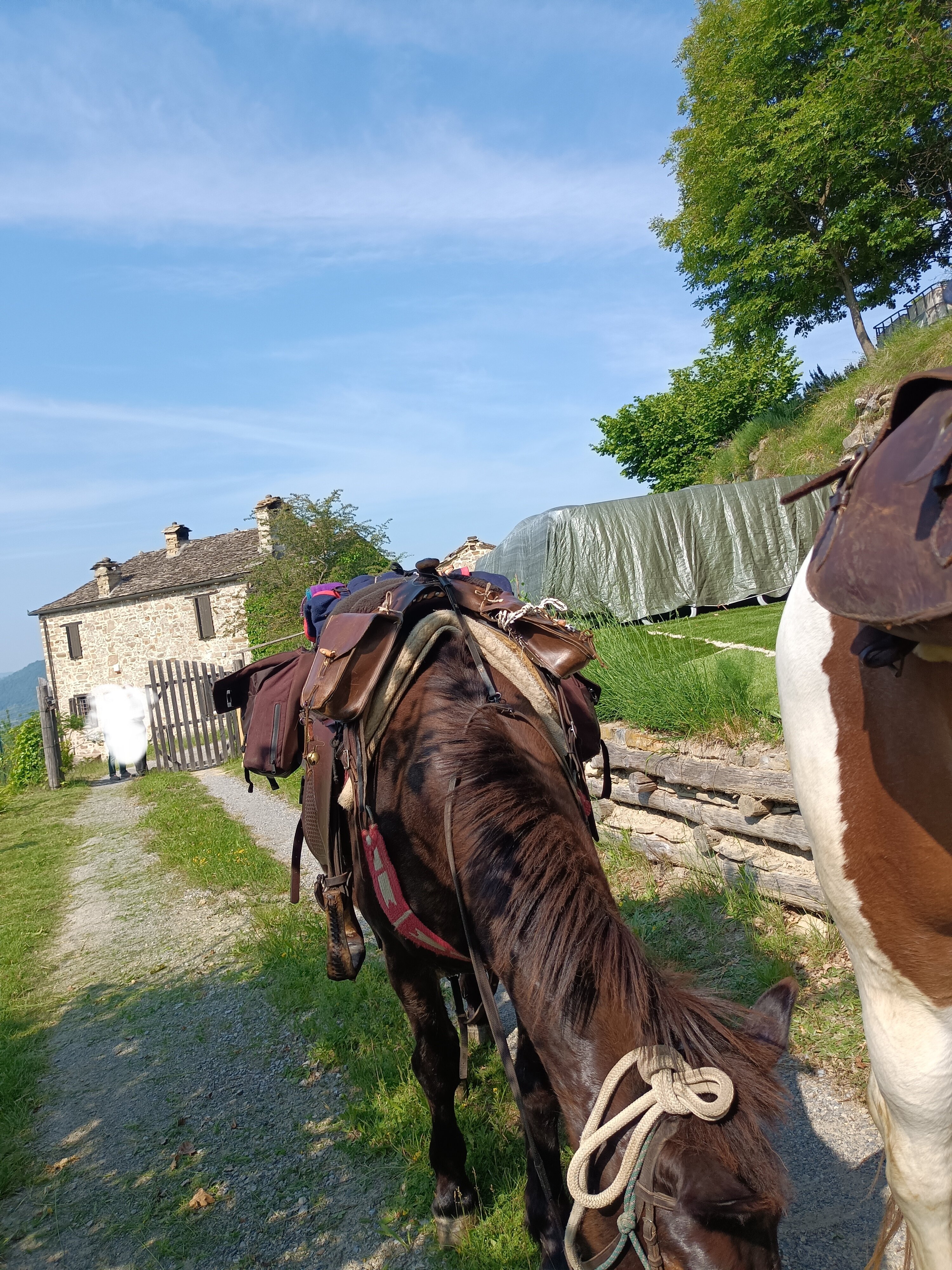 B&B Poggio delle Ginestre-旅行者