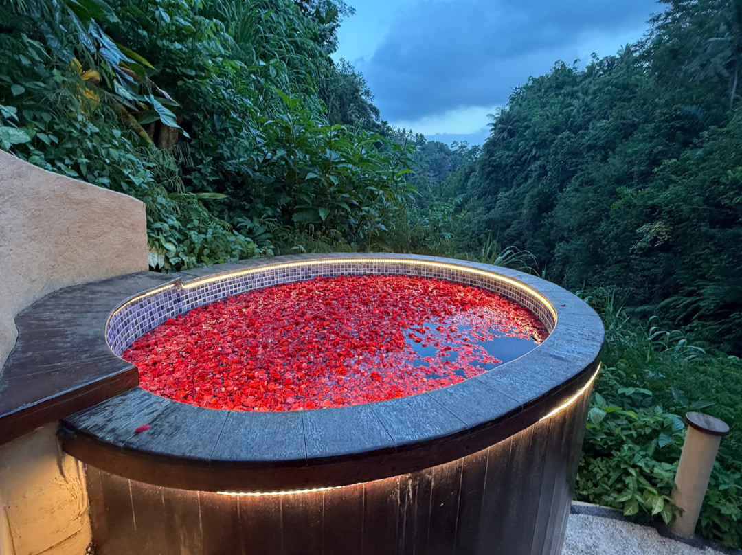 Sacred Mandala retreat center Ubud