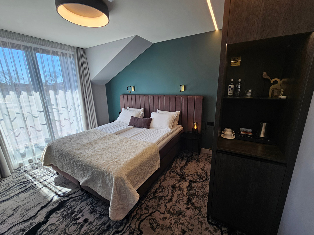 特尔希艾酒店住宿-Oginski Hotel