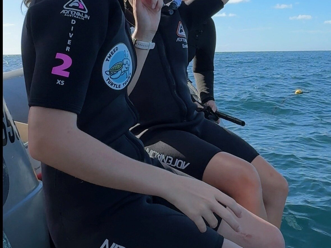 Tweed Turtle Tours-Tweed Heads South必去景点