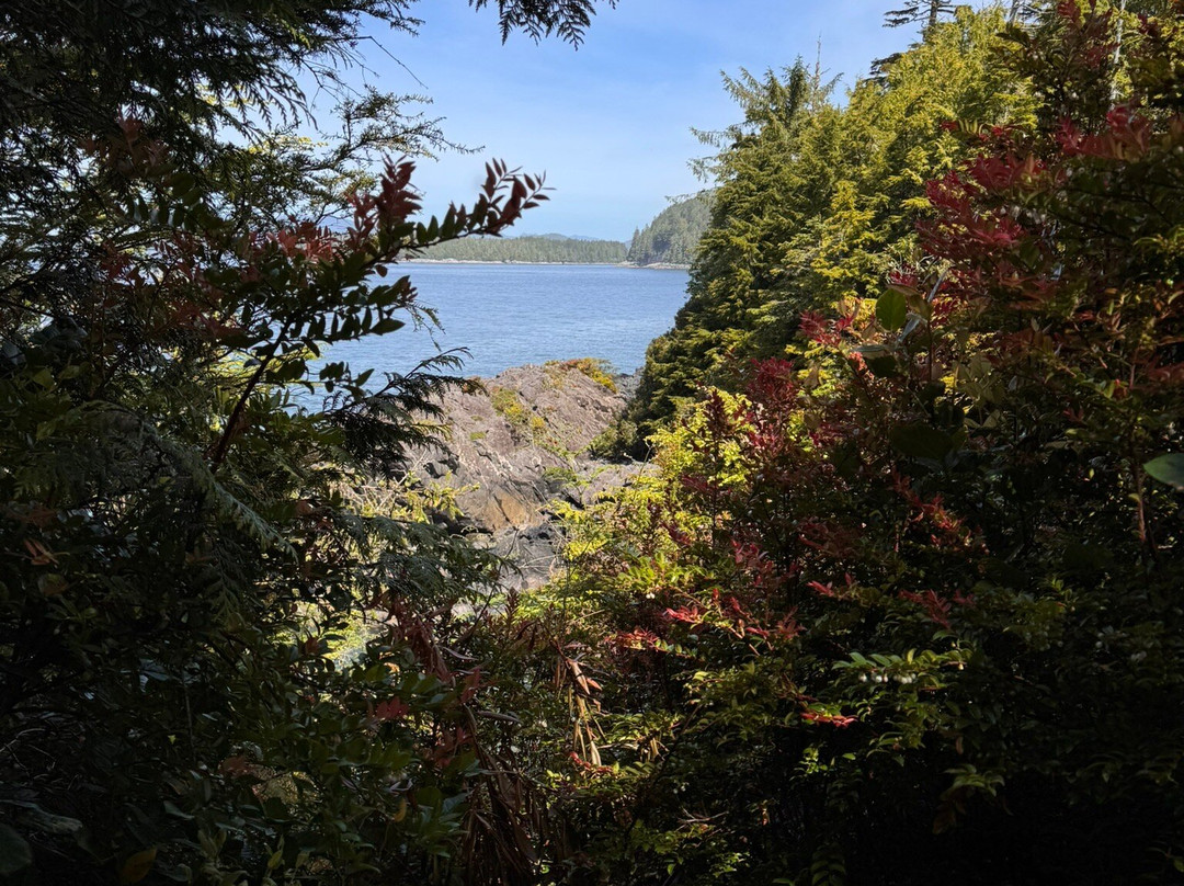 Tonquin Park-托菲诺必去景点