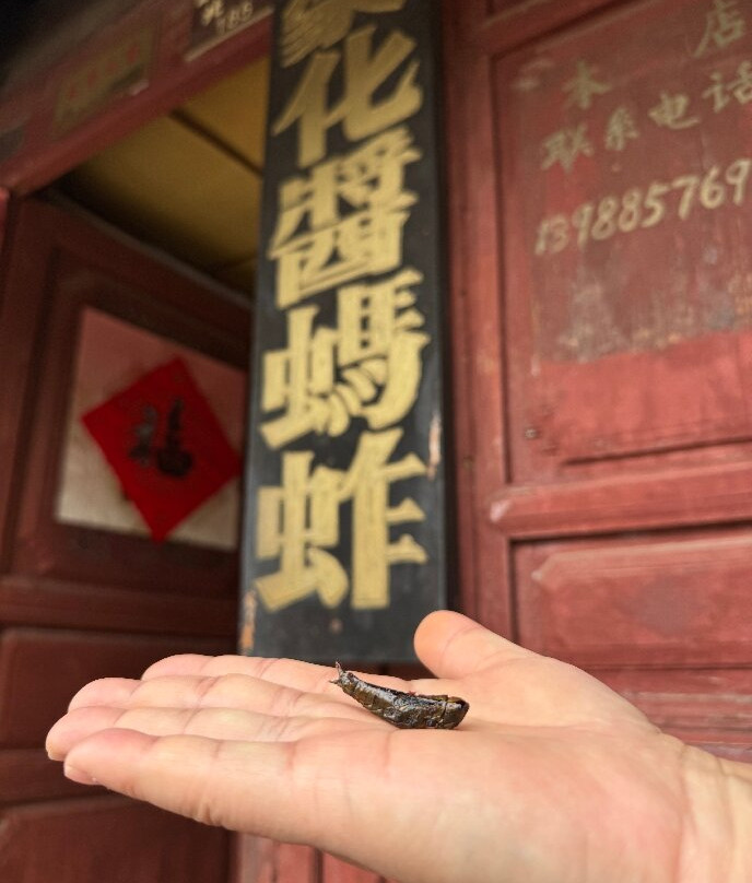 巍山古城-巍山彝族回族自治县必去景点