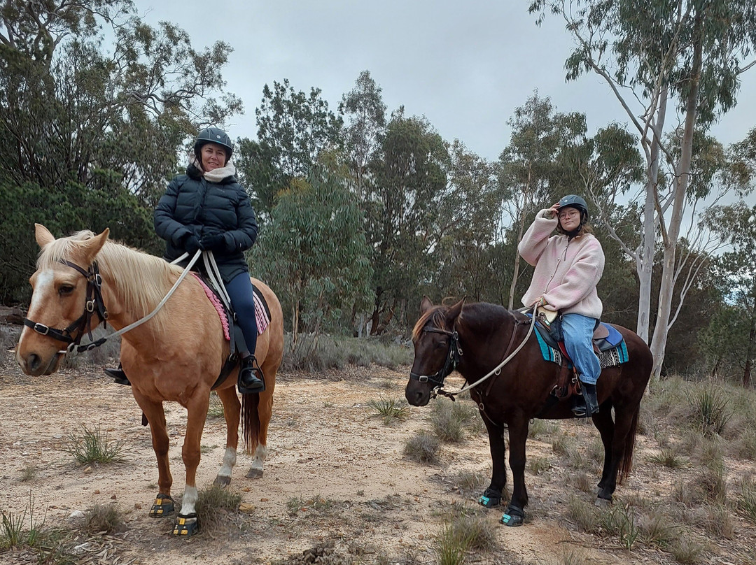 Burnelee Excursions on Horseback-穆任百特曼必去景点