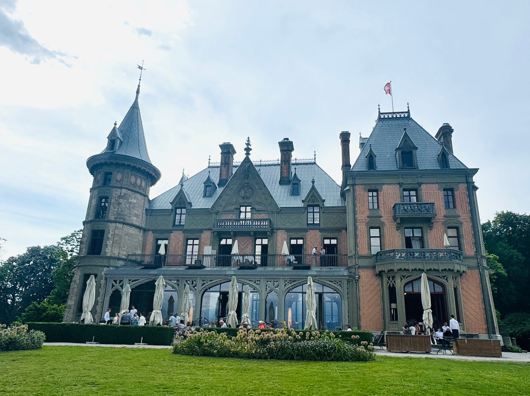 Schloss Schadau - Swiss Historic Hotel主图