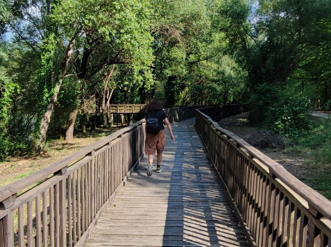 Oasi Fiume Alento-Prignano Cilento必去景点