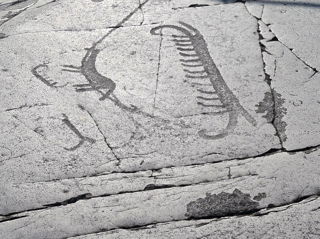 Horsahallen's Rock Carving Area-Simrishamn必去景点