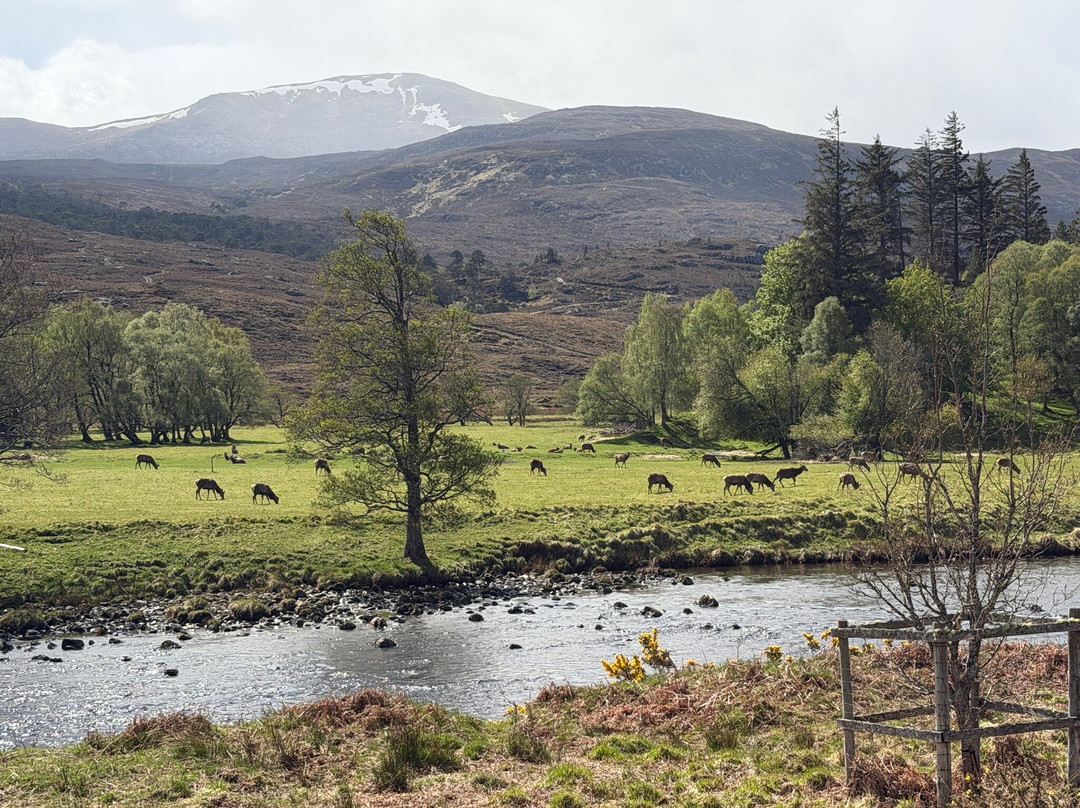 Glen Strathfarrar-Beauly必去景点