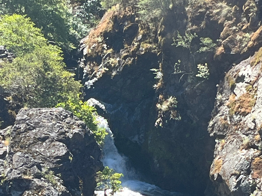 ROW Adventures - Rogue River Rafting-Merlin必去景点