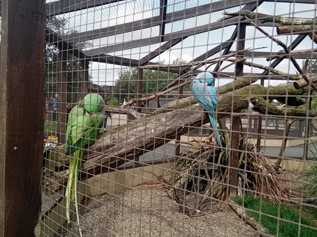 Filey Zoo-Filey必去景点