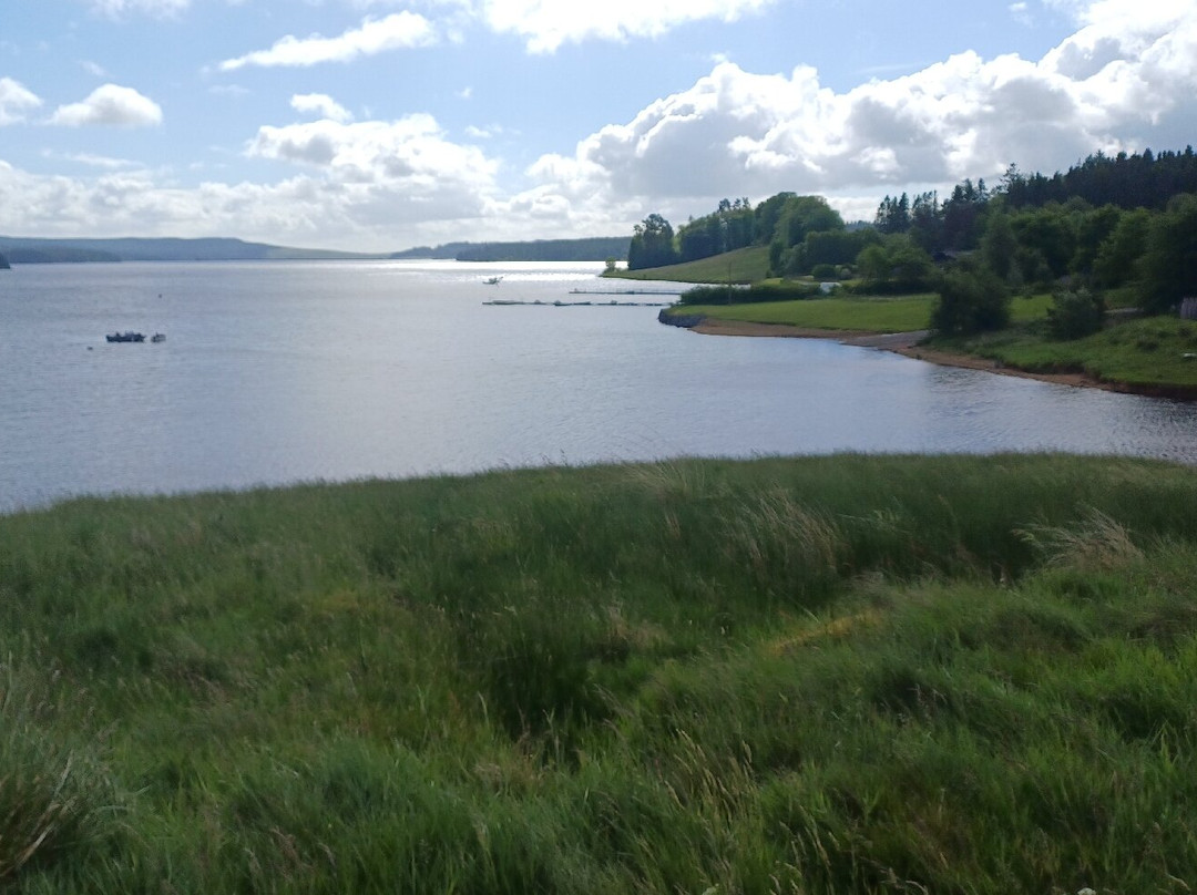 Kielder Forest-Kielder必去景点