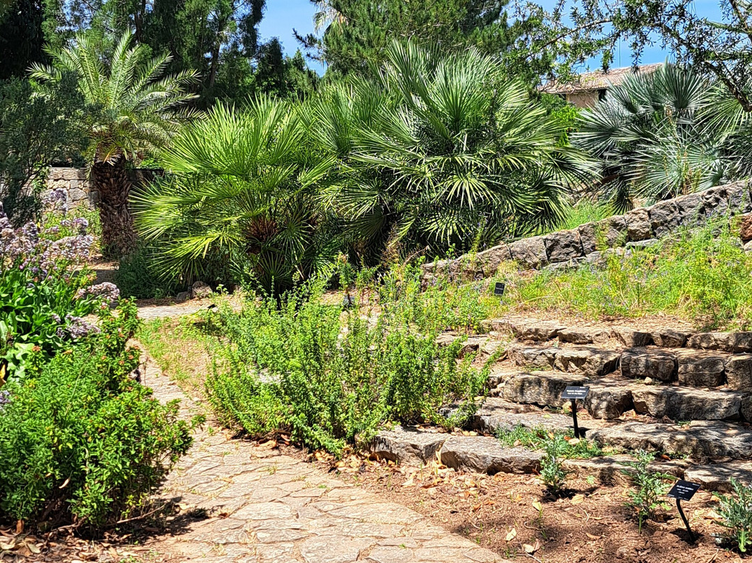 Jardín Botánico de Sóller-索耶尔必去景点