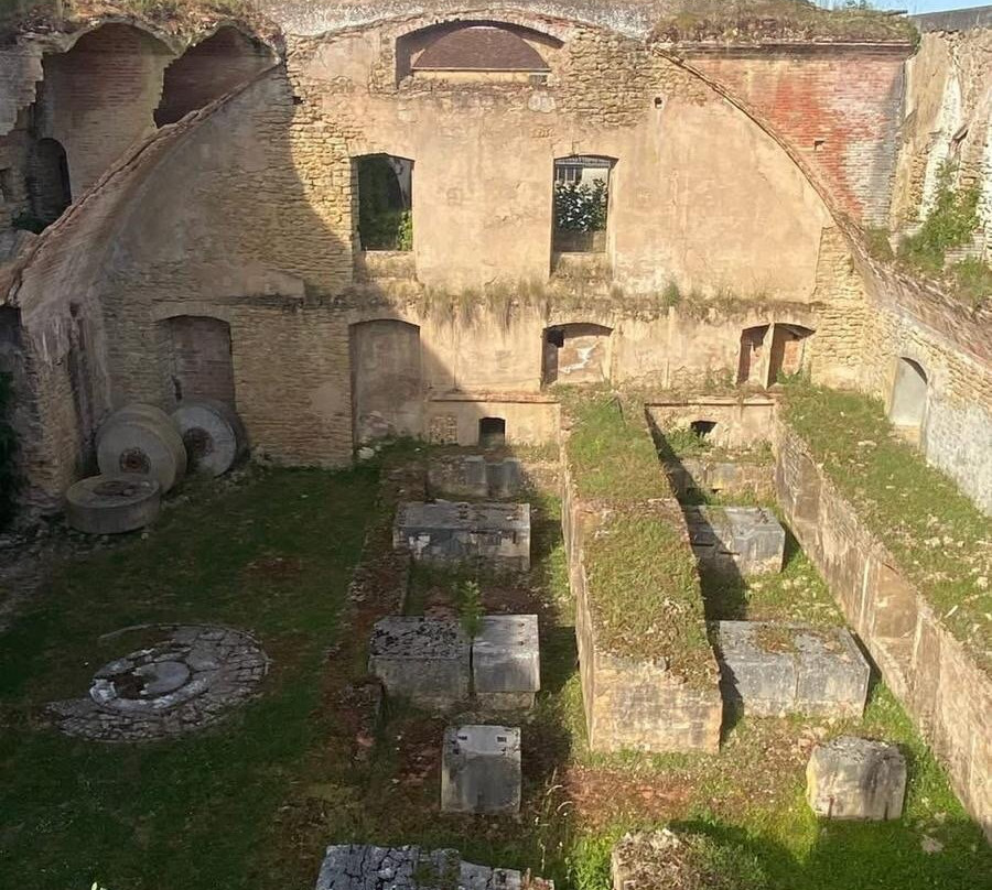 瓦西埃塔勒住宿加早餐旅馆主图