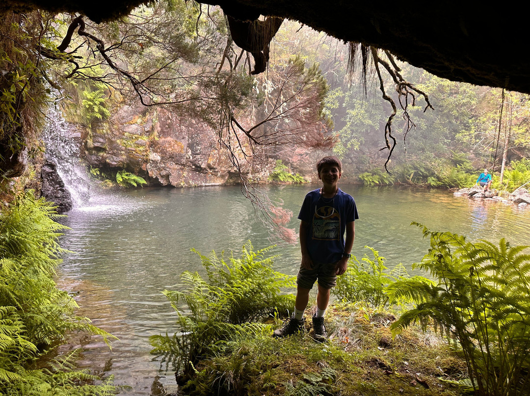 Madeira Wonder Hikes-沙尔必去景点