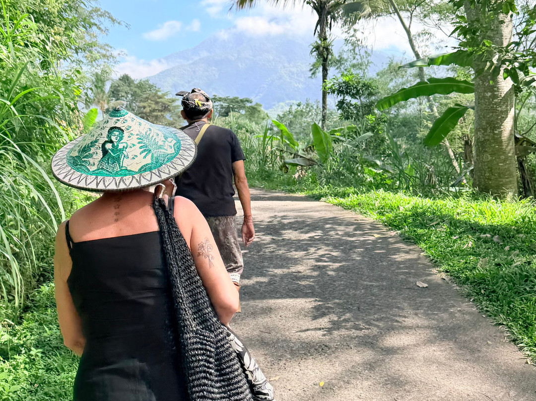 Bali Life Tours-乌布必去景点