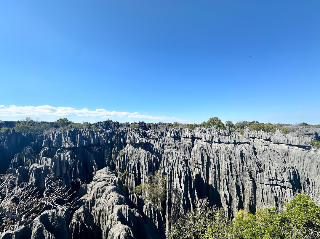 Madagascar Tropic Voyage-安齐拉贝必去景点
