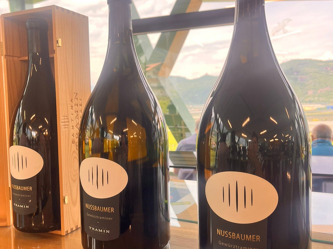 Cantina Tramin-Termeno必去景点
